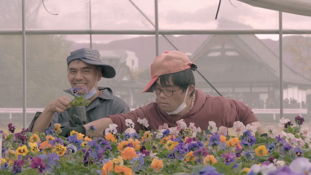 《富士山棉花田》主图片